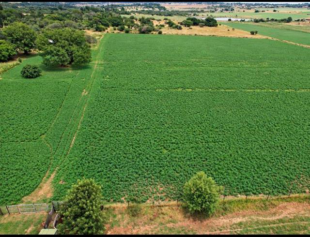 FARM FOR SALE IN VASFONTEIN